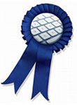 Graphic of Blue Ribbon